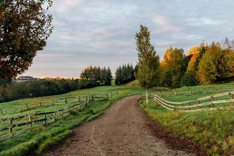Photo of property in 337 Peacockes Road, Peacocke, Hamilton, 3282