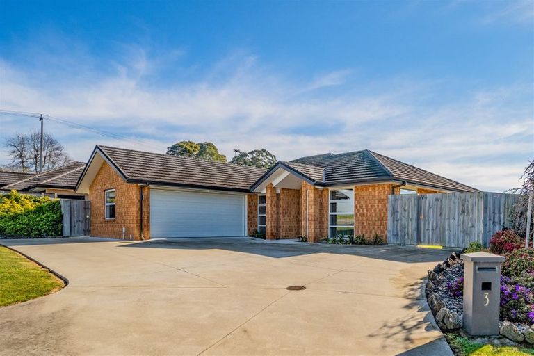 Photo of property in 3 Pamela Christine Road, Patumahoe, Pukekohe, 2679