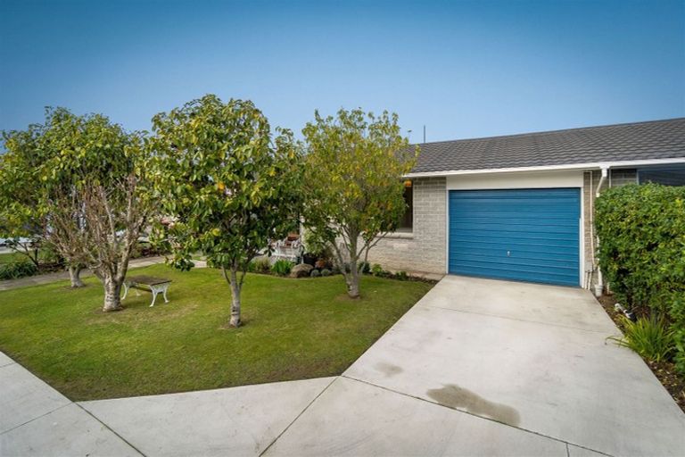 Photo of property in 115a Wilsons Road, Saint Martins, Christchurch, 8022