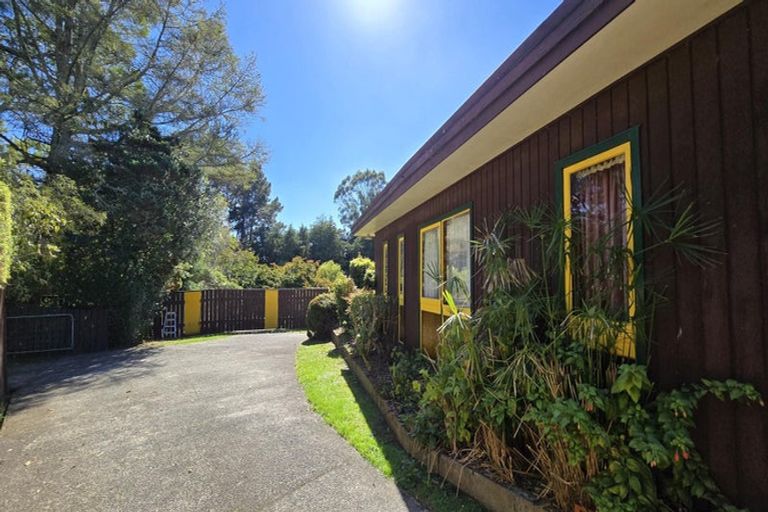 Photo of property in 51 Kauri Street, Tokoroa, 3420