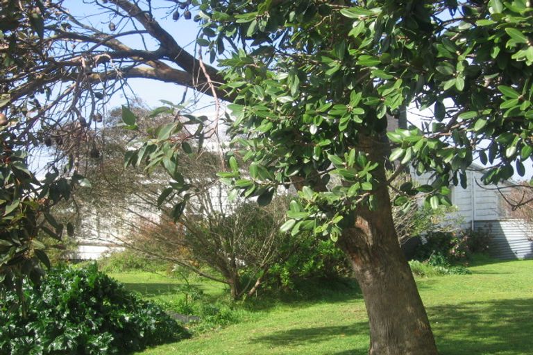 Photo of property in 19 Clean Street, Te Kopuru, 0391