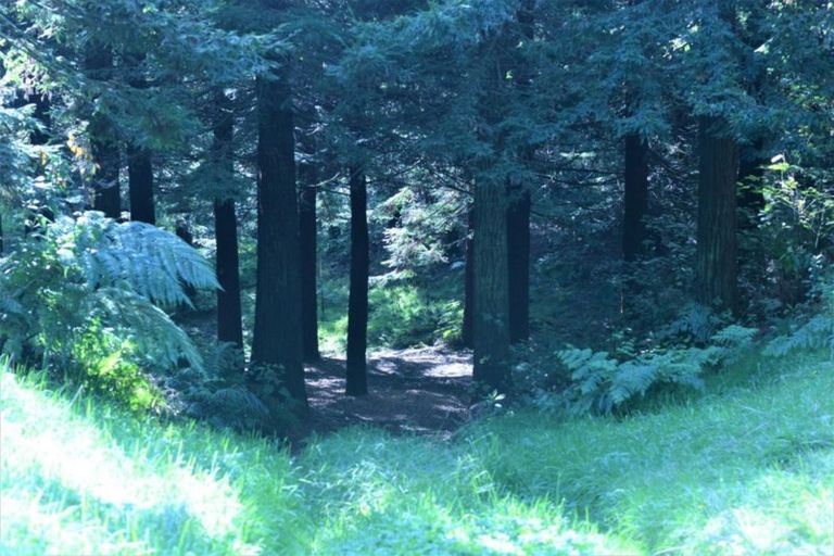 Photo of property in 5 Sarona Park Drive, Omanawa, Tauranga, 3171