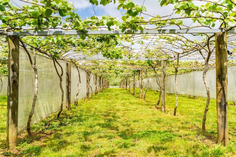 Photo of property in 988 Otaika Valley Road, Maungatapere, Whangarei, 0170