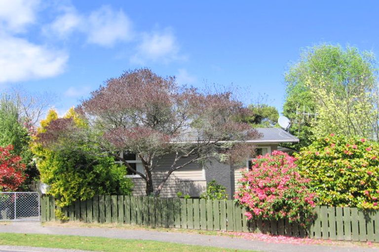 Photo of property in 86 Elizabeth Street, Tauhara, Taupo, 3330