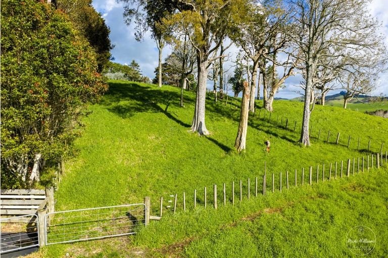 Photo of property in 24 Totara Rise, Maungaturoto, 0588