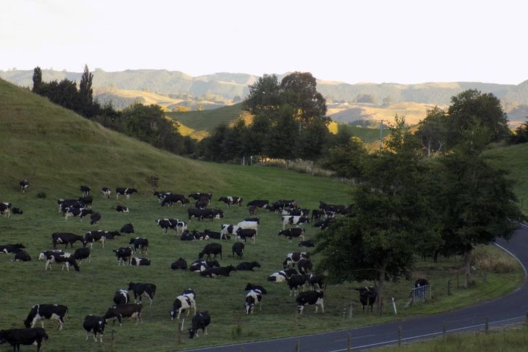 Photo of property in Whirinaki Valley Road, Ngakuru, Rotorua, 3077