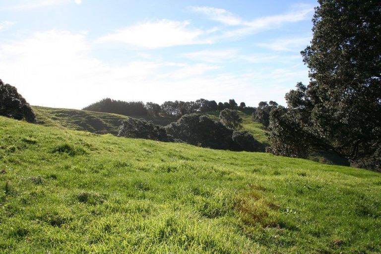 Photo of property in 341 Onemana Drive, Onemana, Whangamata, 3691