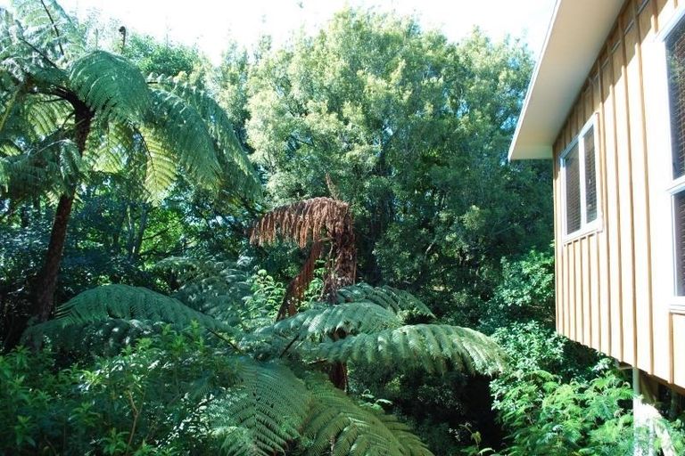 Photo of property in 81 Brois Street, Frankleigh Park, New Plymouth, 4310