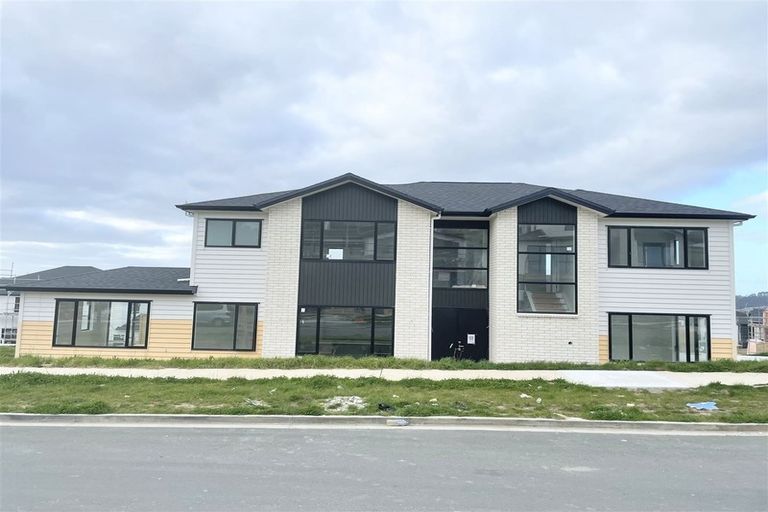 Photo of property in 15 Tiro Street, Flat Bush, Auckland, 2019