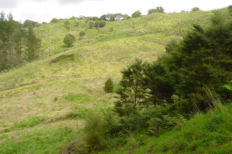 Photo of property in 521 Ahuroa Road, Puhoi, Warkworth, 0994