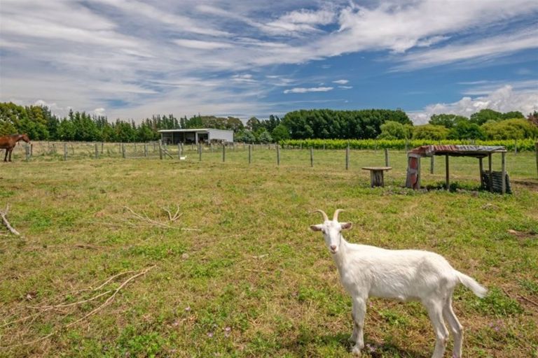 Photo of property in 162 Neal Road, Spring Creek, Blenheim, 7273