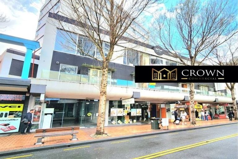 Photo of property in Breeze Plaza, 1001/57 Manners Street, Te Aro, Wellington, 6011