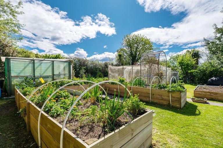 Photo of property in 16 Belt Street, Waimate, 7924