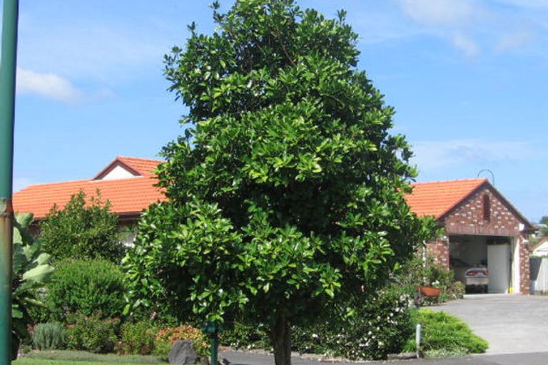 Photo of property in 12 Graven Court, Henderson, Auckland, 0612