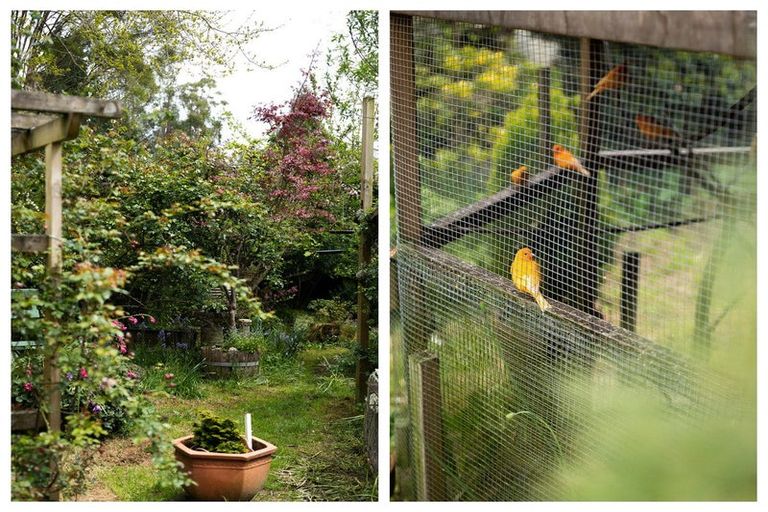 Photo of property in 42a Junction Road, Paeroa, 3600