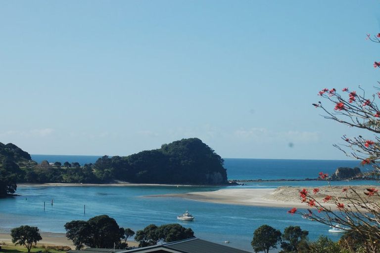 Photo of property in 41 Olsen Avenue, Mangawhai Heads, Mangawhai, 0505