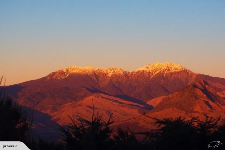 Photo of property in 502 Waipiro Road, Waipiro, Tokomaru Bay, 4079