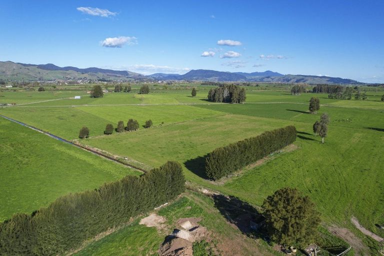 Photo of property in 6716 State Highway 2, Netherton, Paeroa, 3671