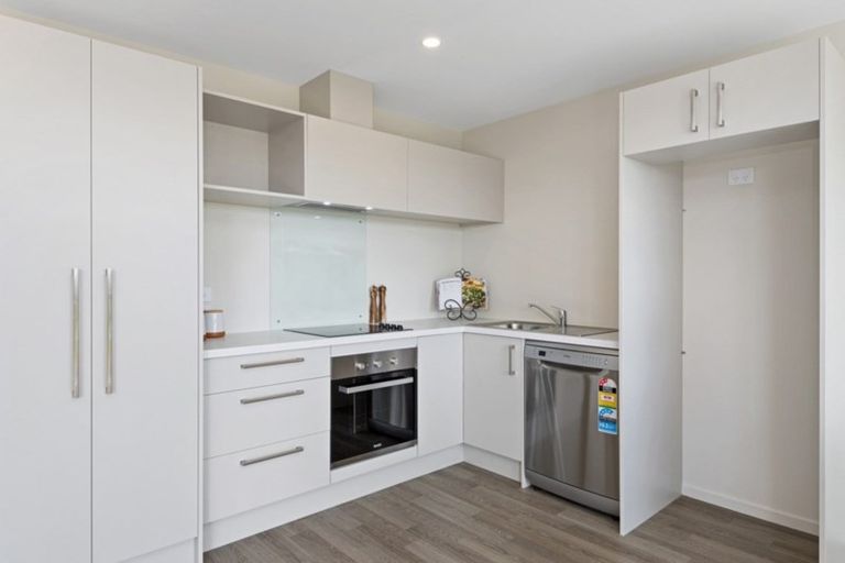 Photo of property in 19 Bishop Street, Kaiapoi, 7630