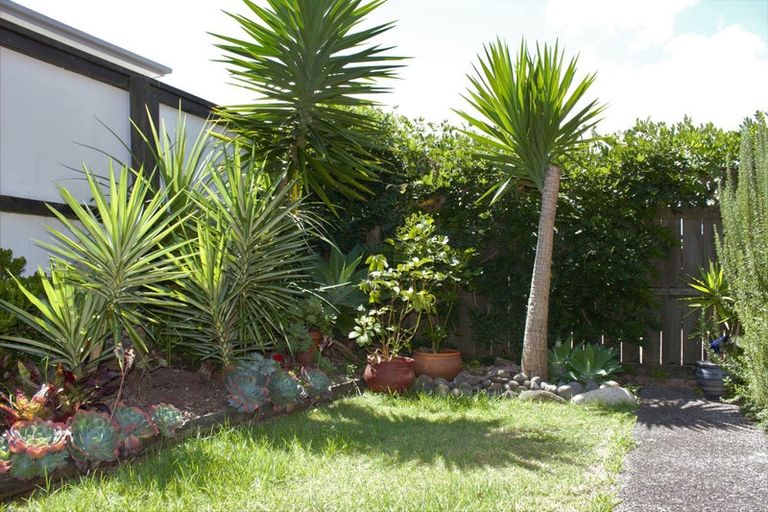 Photo of property in 6/14 Waterloo Road, Milford, Auckland, 0620