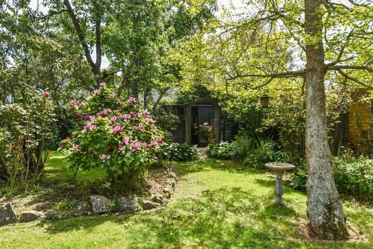 Photo of property in 24 Sandringham Street, Saint Clair, Dunedin, 9012