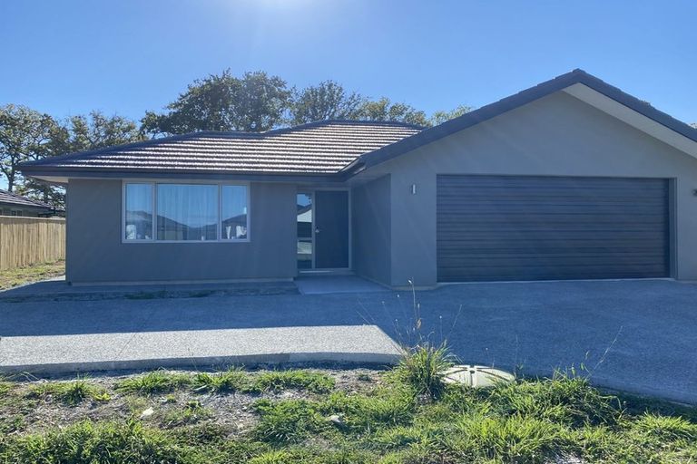 Photo of property in 17 Oakdale Grove, Richmond, 7020