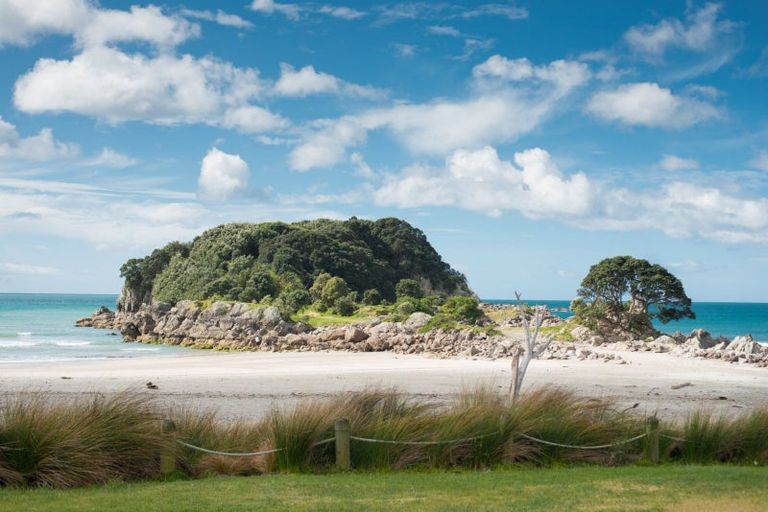 Photo of property in 34c Maunganui Road, Mount Maunganui, 3116