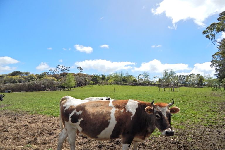 Photo of property in 424b Waimate North Road, Kerikeri, 0293