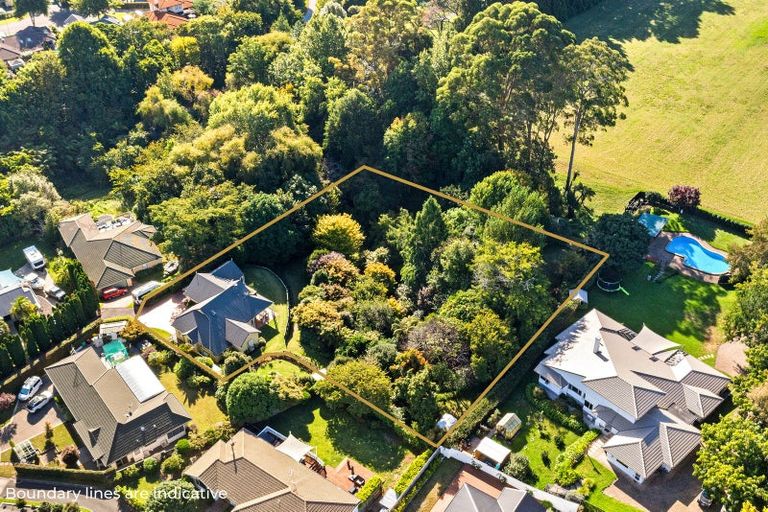 Photo of property in 38 Revell Drive, Ohauiti, Tauranga, 3112