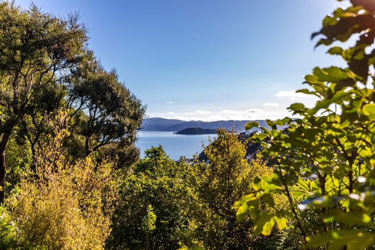 Photo of property in 17 Korimako Road, Days Bay, Lower Hutt, 5013