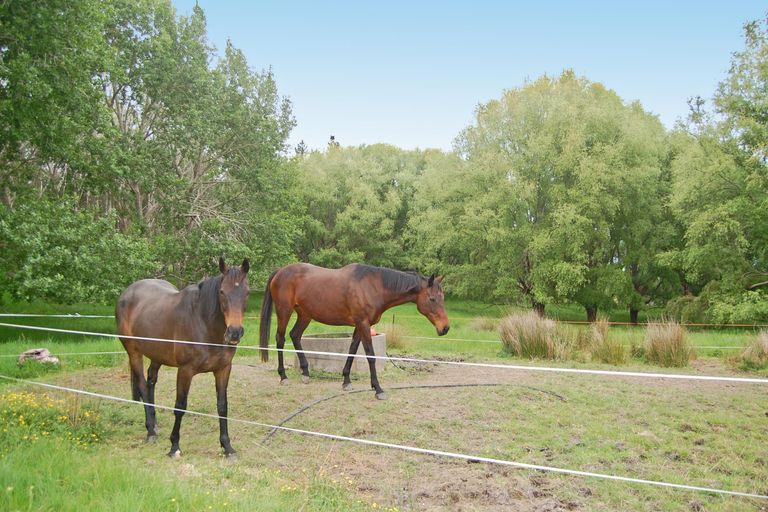 Photo of property in 319 Parekura Road, Kaiwaka, 0573