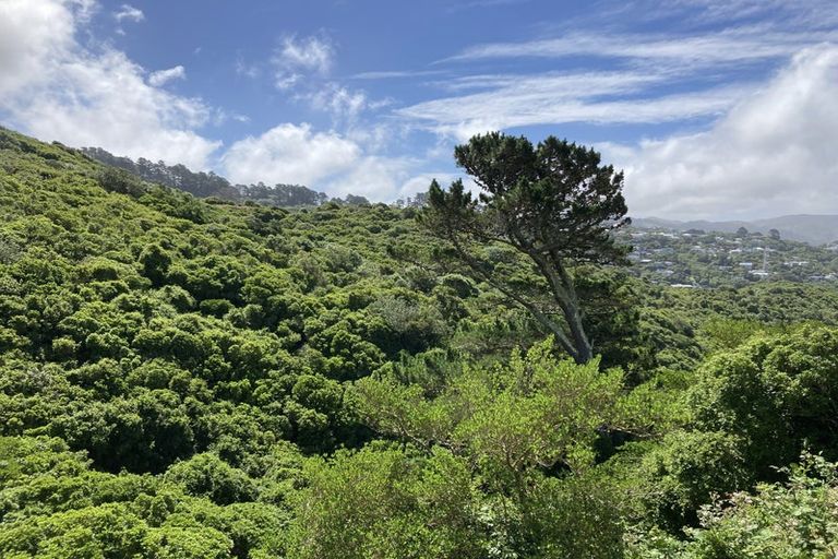 Photo of property in 92 Karepa Street, Brooklyn, Wellington, 6021