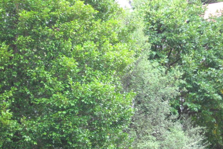 Photo of property in 59 Rosecamp Road, Beach Haven, Auckland, 0626