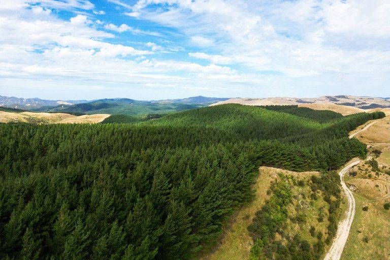 Photo of property in 2/298 Bealey Avenue, Christchurch Central, Christchurch, 8013