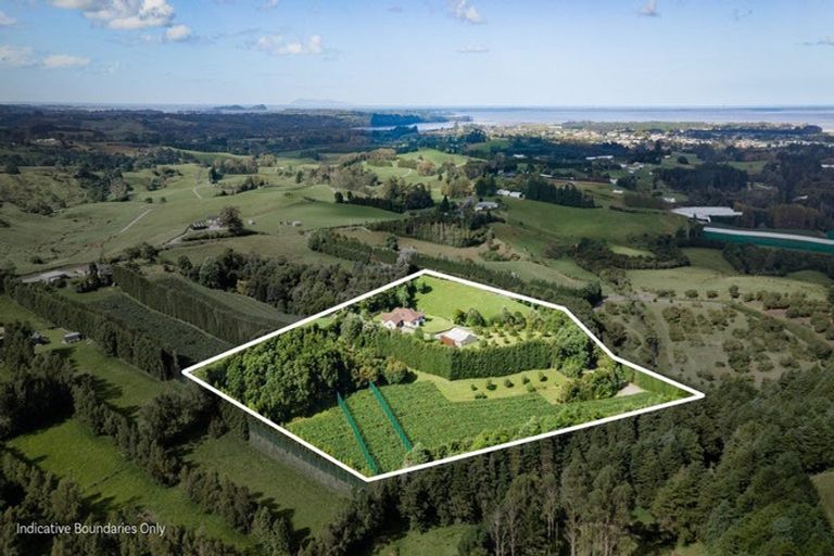 Photo of property in 237a Busby Road, Tahawai, Katikati, 3170