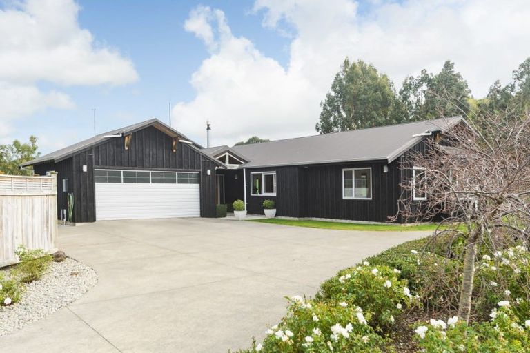 Photo of property in 38 Ursula Drive, Feilding, 4702