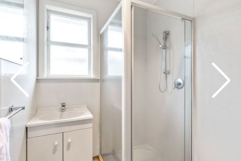 Photo of property in 55 Power Street, Levin, 5510