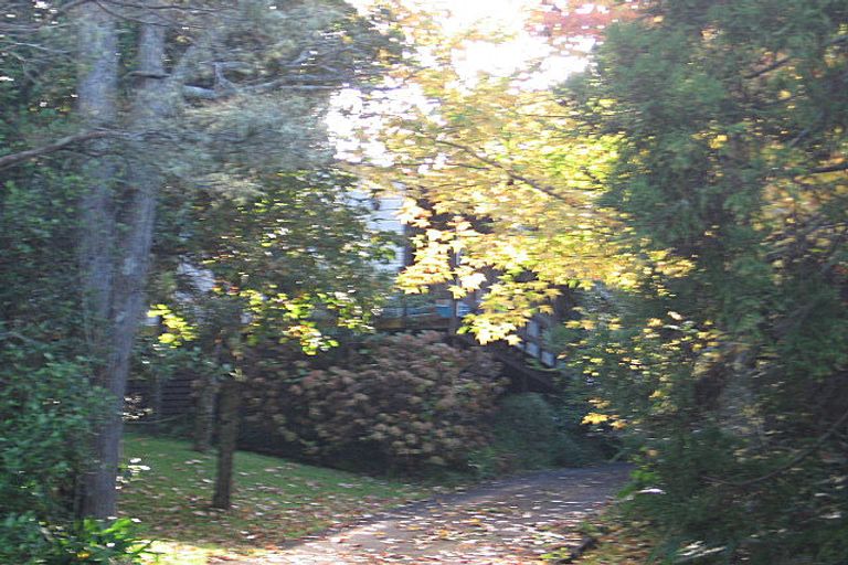 Photo of property in 13 Laingholm Drive, Laingholm, Auckland, 0604