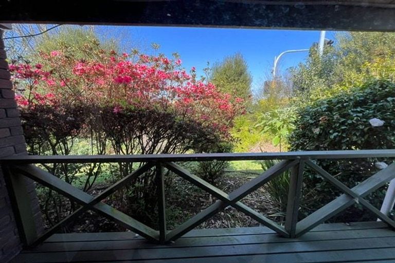 Photo of property in 130 Ulster Street, Whitiora, Hamilton, 3200