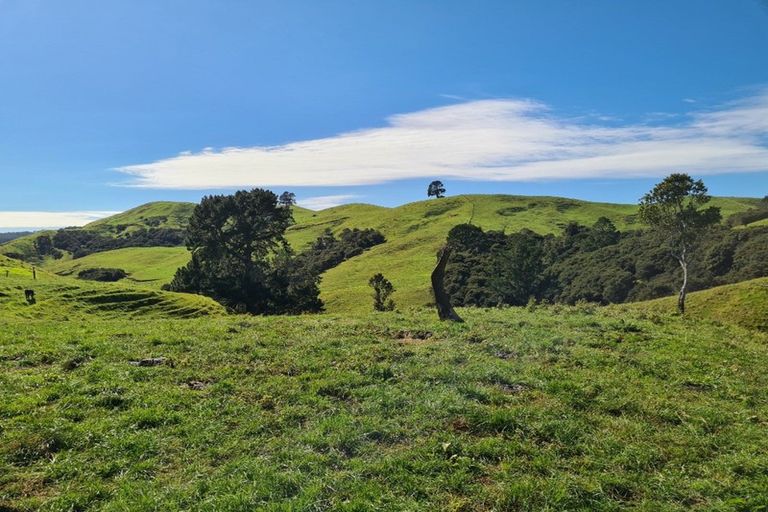 Photo of property in 309c Wentworth Valley Road, Whangamata, 3691