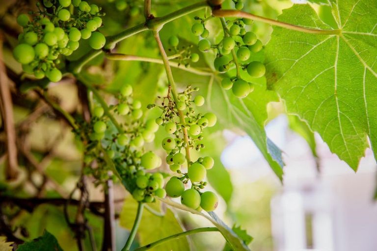 Photo of property in 45b Mana Street, Vogeltown, Wellington, 6021