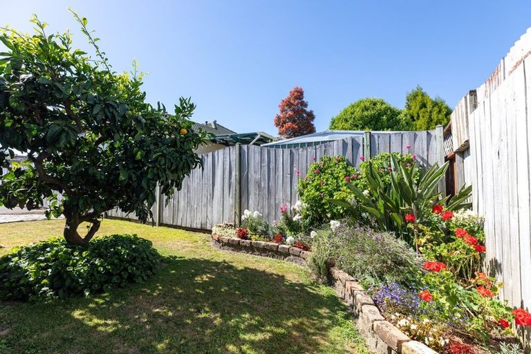 Photo of property in 3b Princess Street, Te Puke, 3119