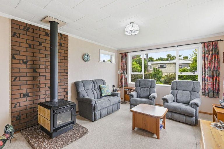 Photo of property in 9 Chester Street, Levin, 5510