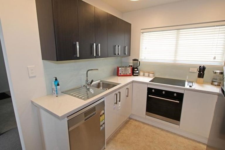 Photo of property in 28a Maclaggan Street, Dunedin Central, Dunedin, 9016