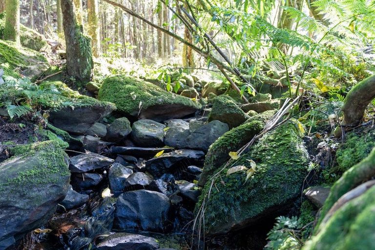 Photo of property in 46 Cookson Road, Kawakawa, 0282