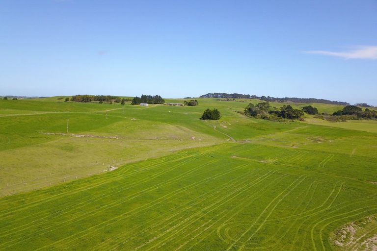 Photo of property in 110a Colville Road, Dargaville, 0310