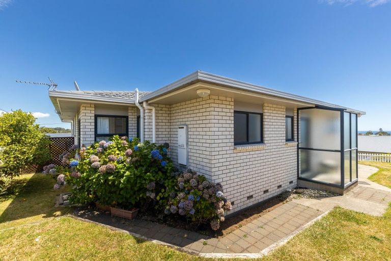 Photo of property in 47 Paynters Avenue, Strandon, New Plymouth, 4312