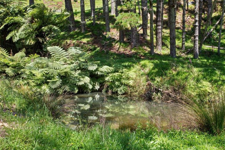 Photo of property in 865 Waikaretu Valley Road, Glen Murray, Tuakau, 2695