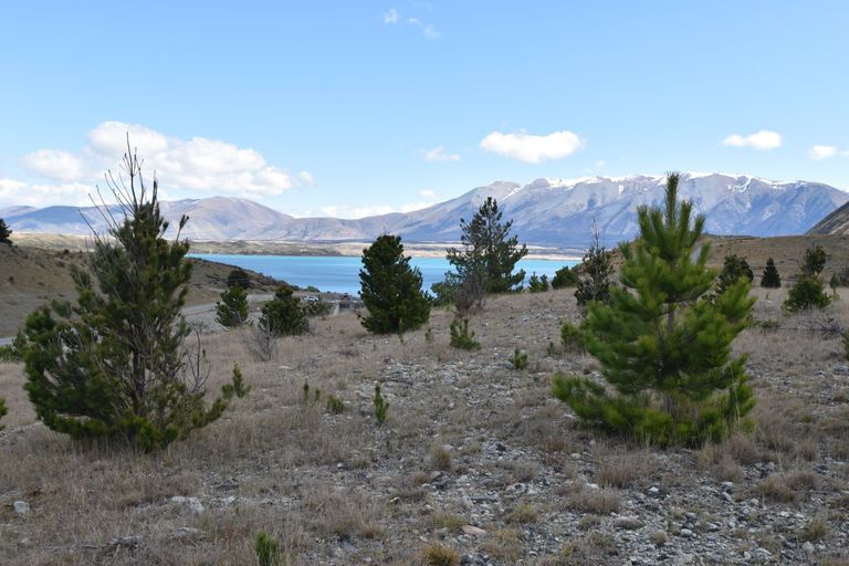 Photo of property in 781 Manuka Terrace, Ben Ohau, Twizel, 7999