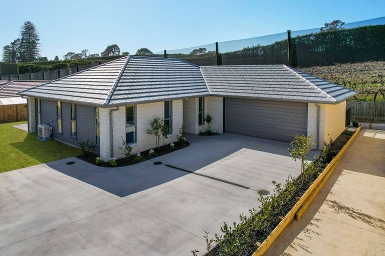 Photo of property in 18 Sam Heywood Place, Pyes Pa, Tauranga, 3112